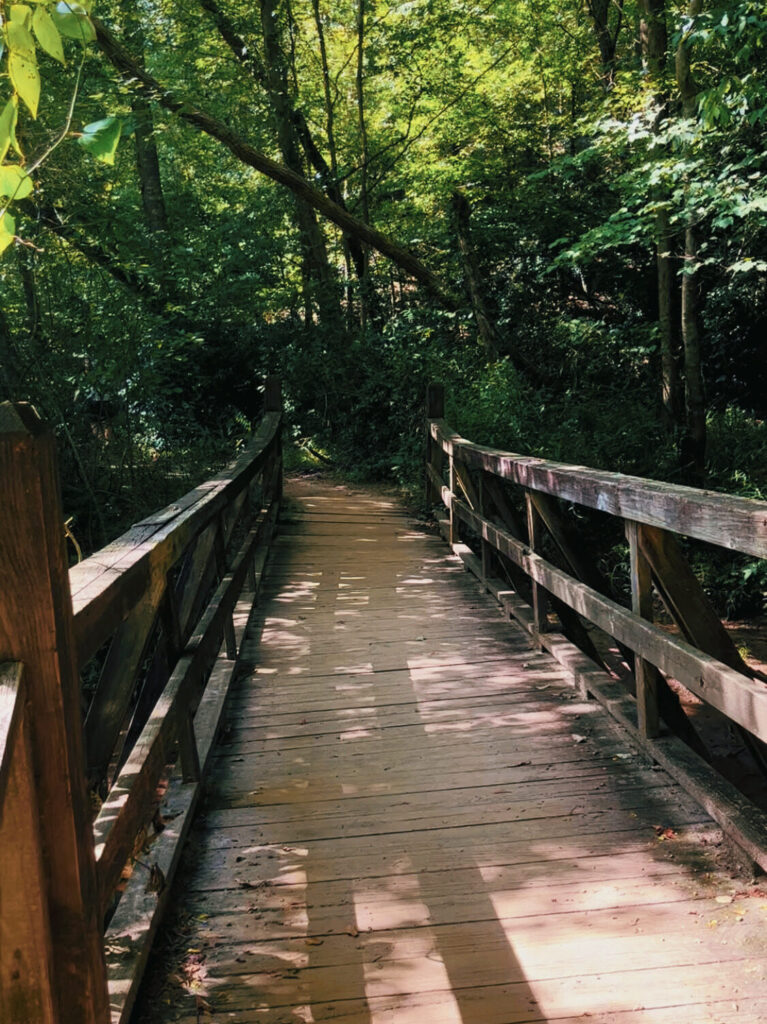 boardwalk on the East Palisades trail 