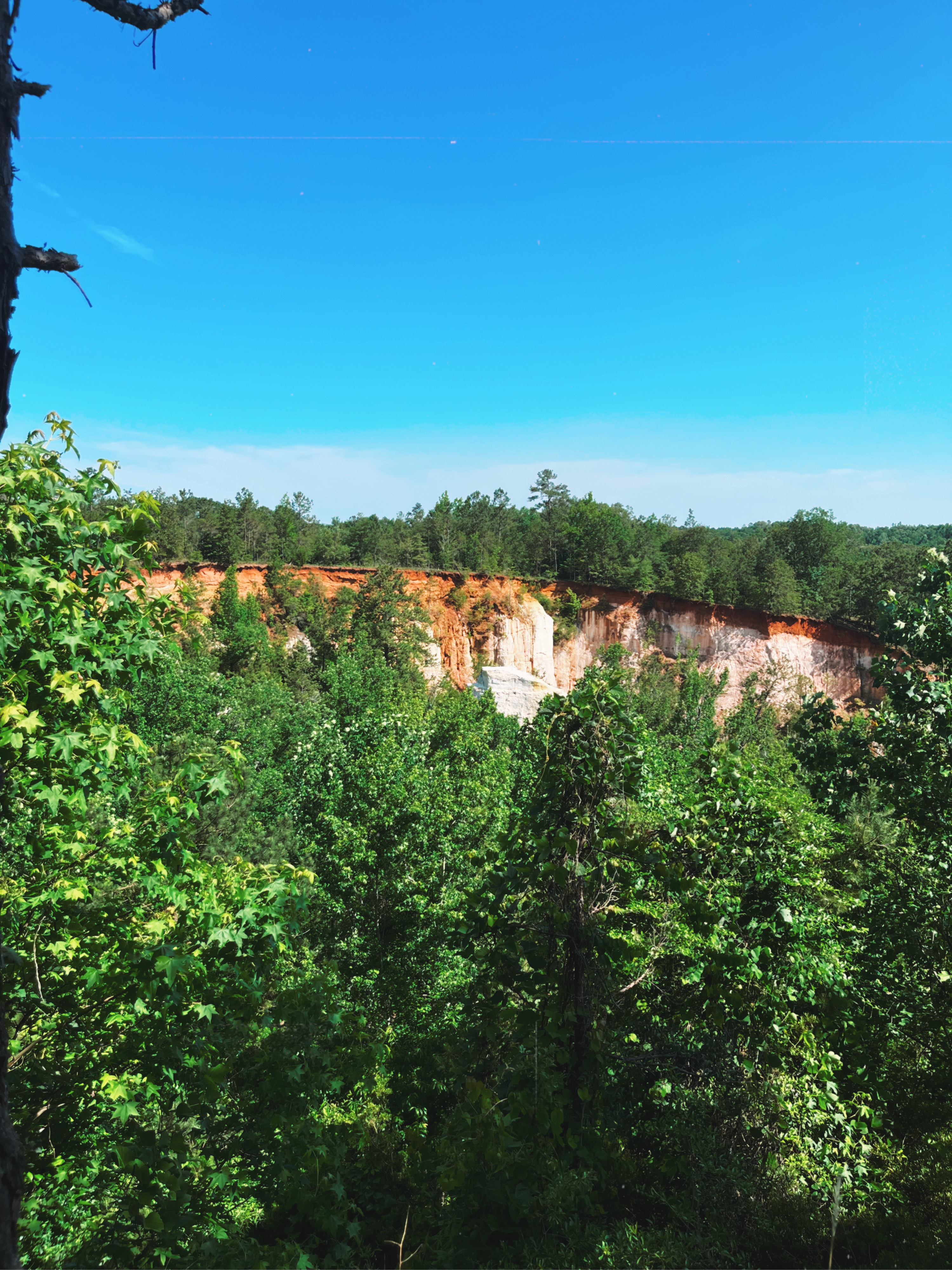 Georgia's Little Grand Canyon: Providence Canyon view from the rim