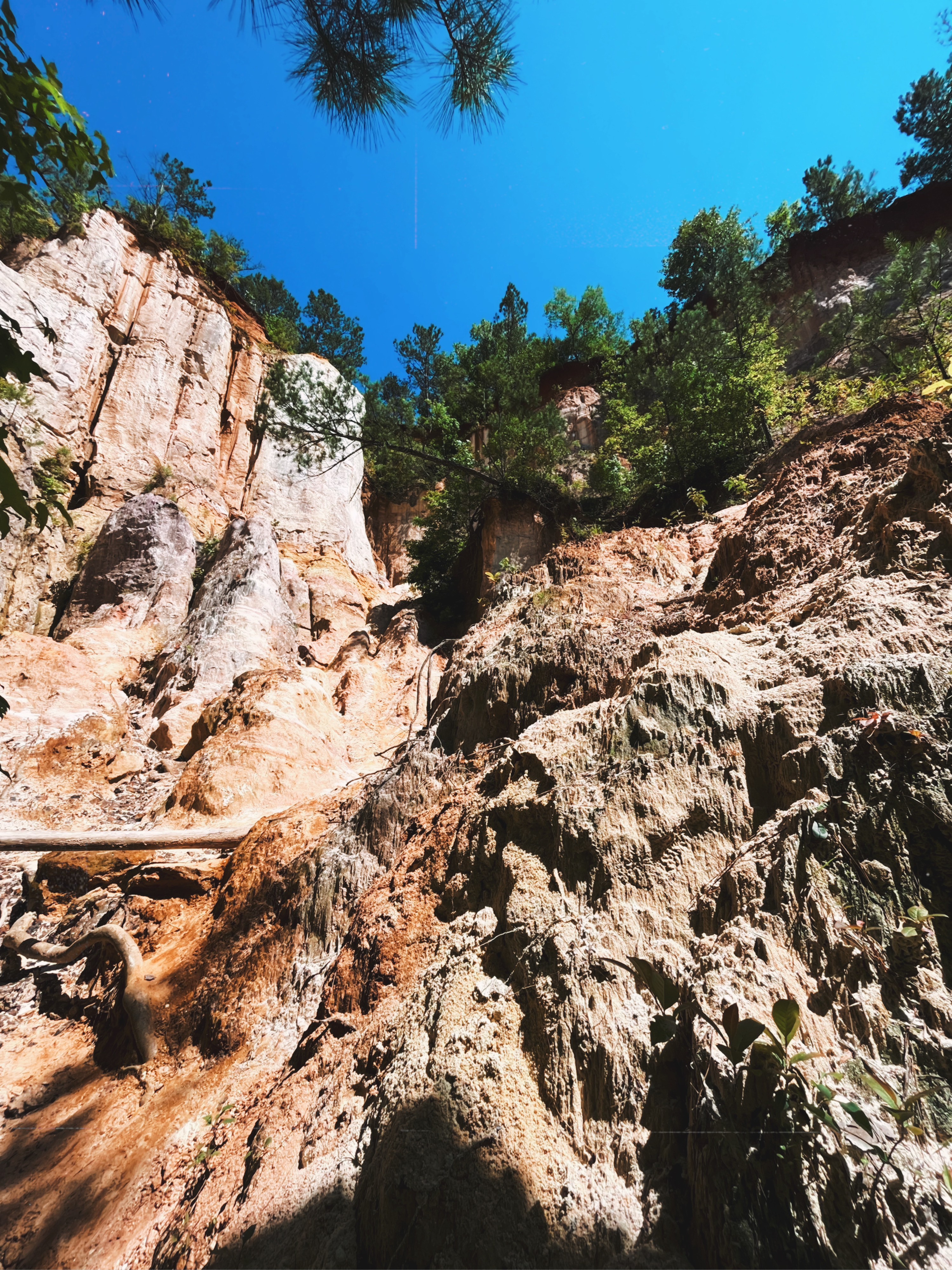 Georgia's Little Grand Canyon: Providence Canyon view from the ground floor 