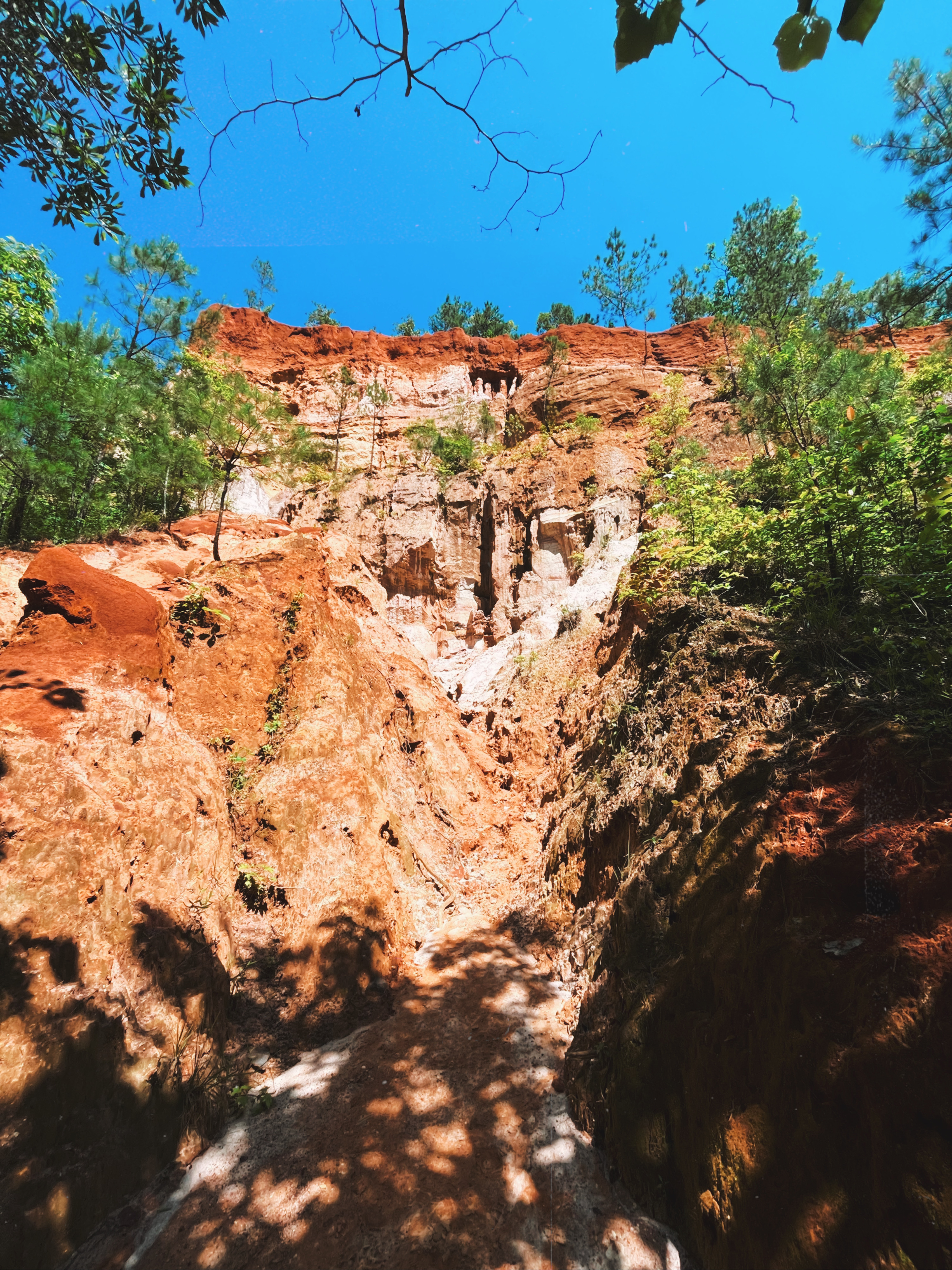 Georgia's Little Grand Canyon: Providence Canyon view from the ground floor 
