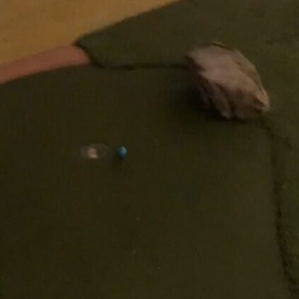a blue golfball about to go in a hole on a putt-putt course at the Roof at Ponce  City Market in Atlanta 