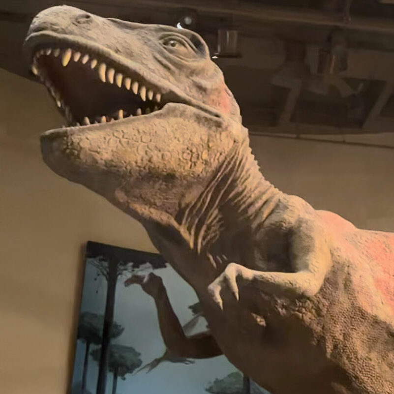 a T Rex replica at The Fernbank Museum in Atlanta