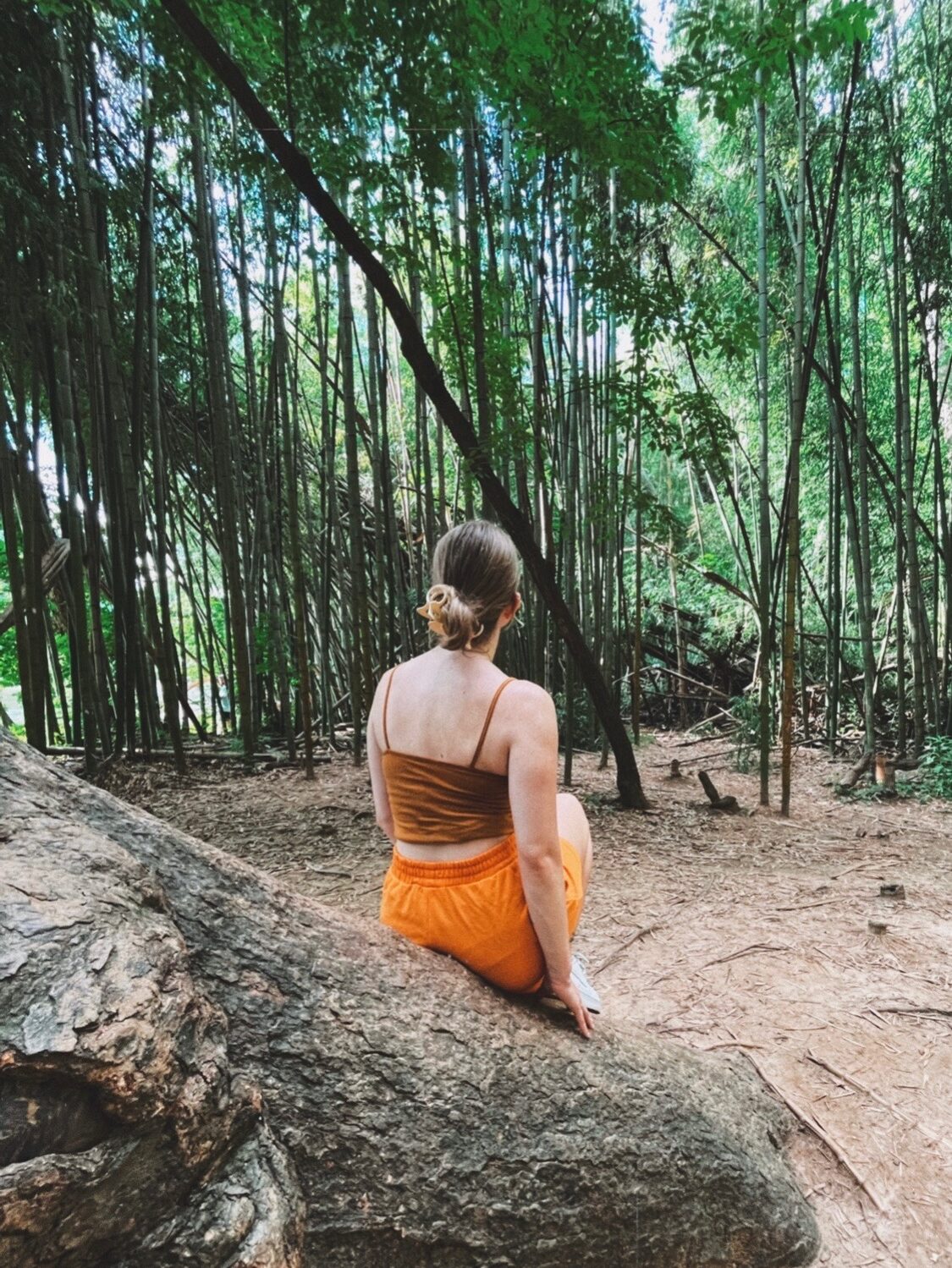 girl dressed in orange, sitting on the trunk of a tree admiring the bamboo forest in sandy springs 