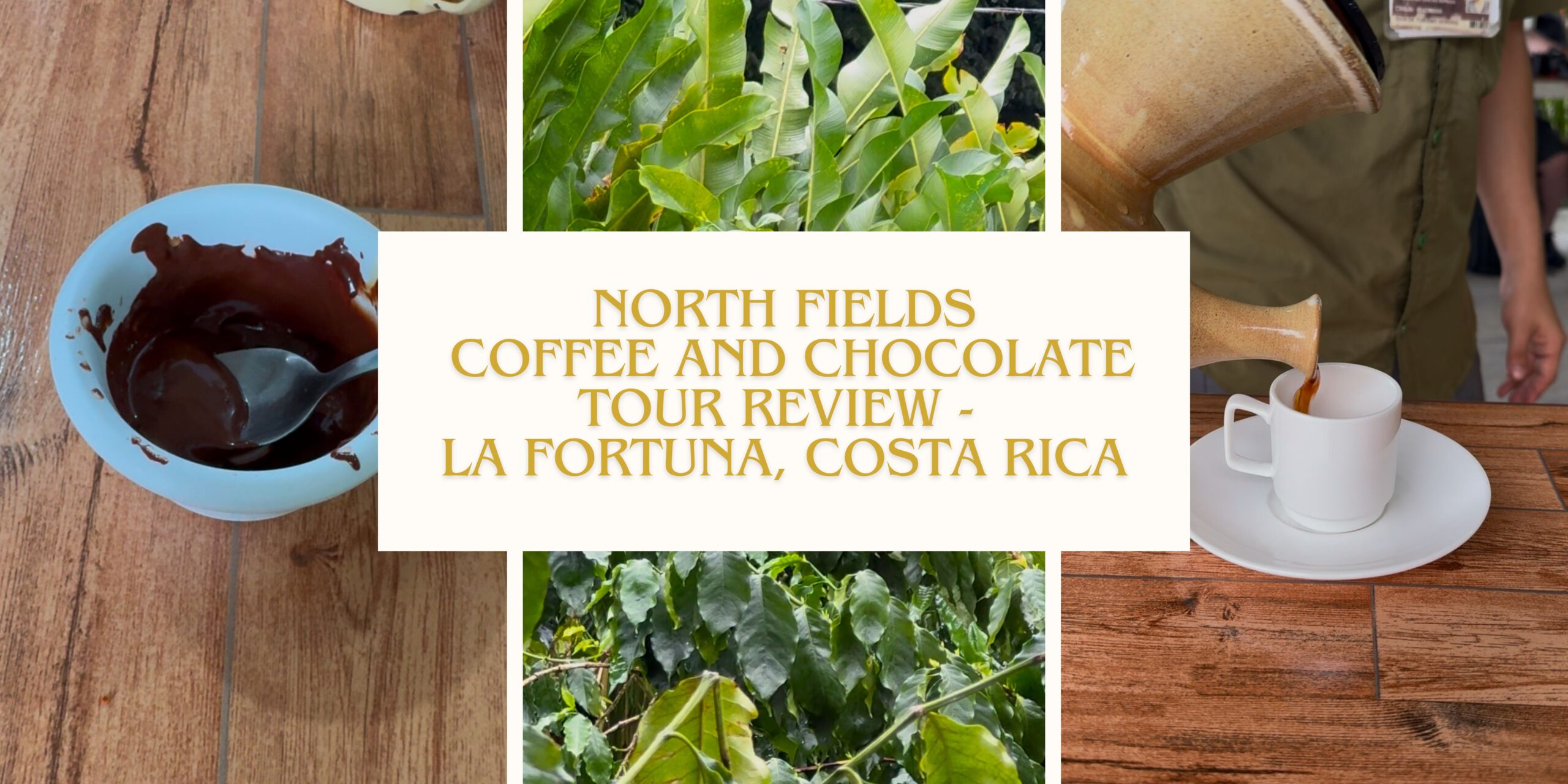 North Fields Coffee and Chocolate Tour Review - La Fortuna, Costa Rica